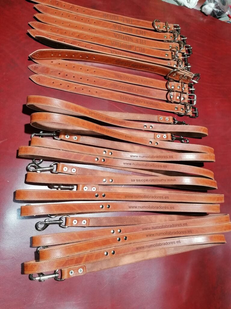 Img 20210901 191453
