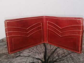 Img 20230214 182653[1]